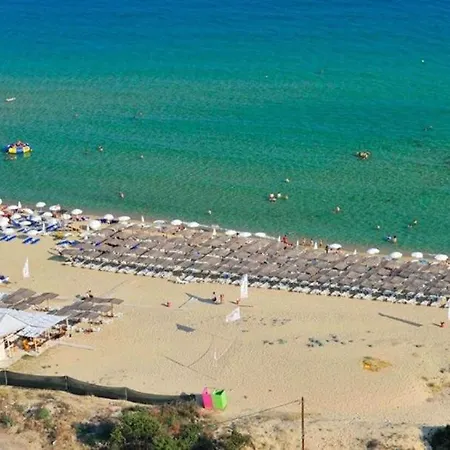 Siesta Gr