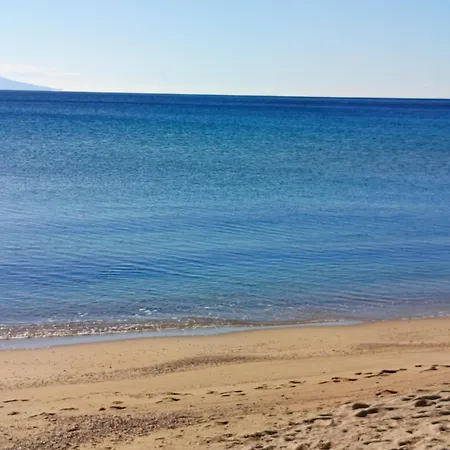 Siesta Gr