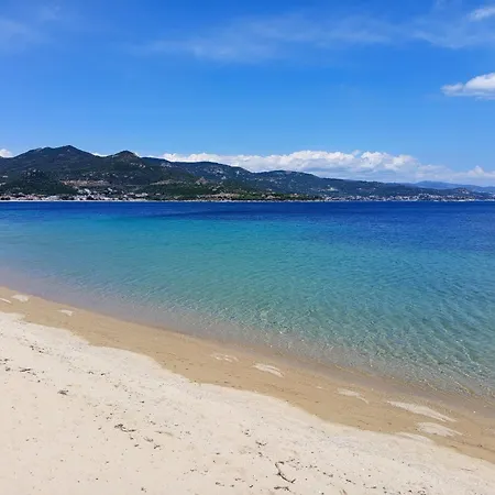 Siesta Gr *