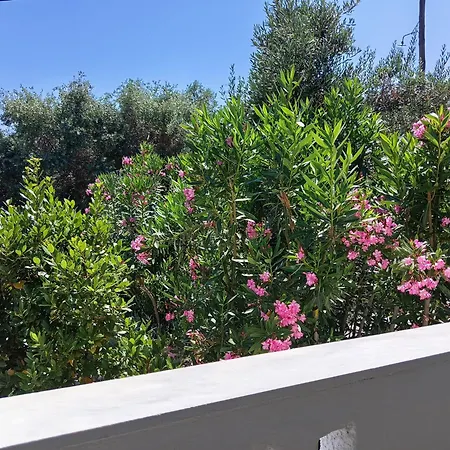 Siesta Gr PalaiónTsiflíkion