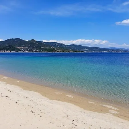 Siesta Gr *