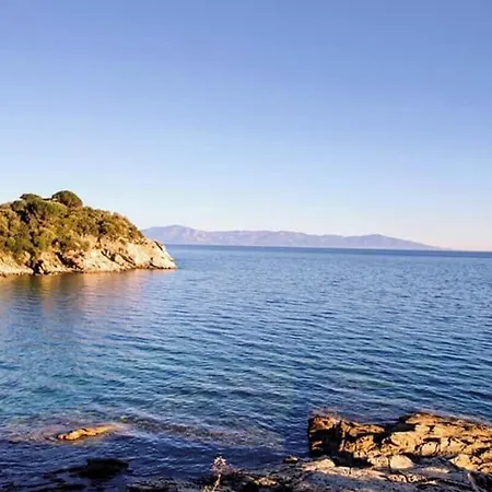 Siesta Gr *